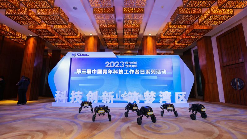 企业级搜索性能优化：揭秘十大品牌背后的技术秘密